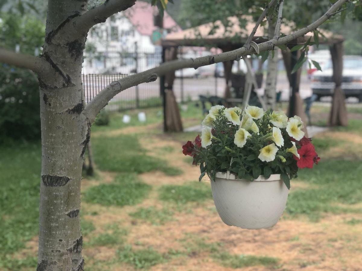 Villa Dallavalle Inn Silverton Dış mekan fotoğraf